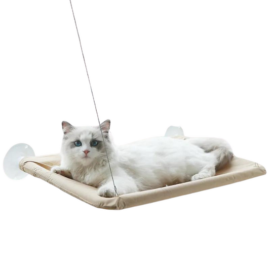 Cat Hammock Bed