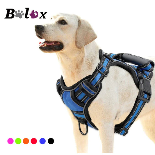 Dog Harness