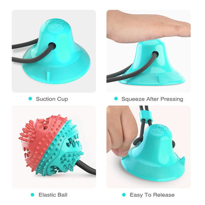 Suction Cup Tug Toy for Dogs