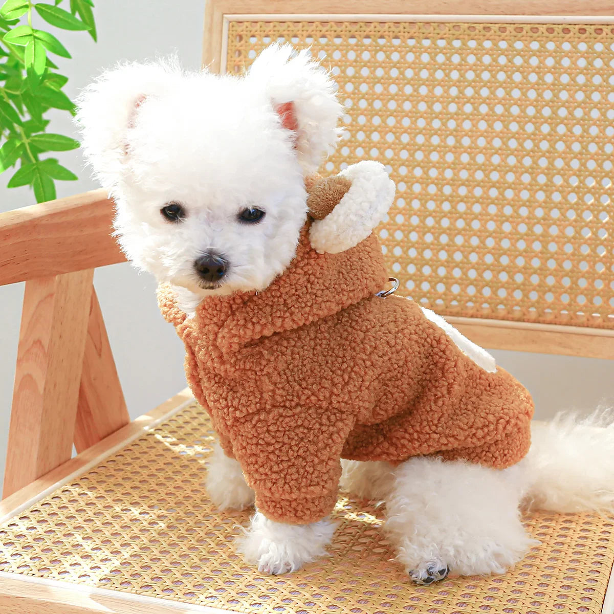 Dog Coat with Bear Design